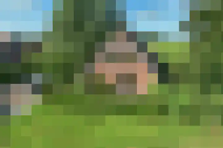 Bitgumerdyk 85 Marsum thumbnail 19