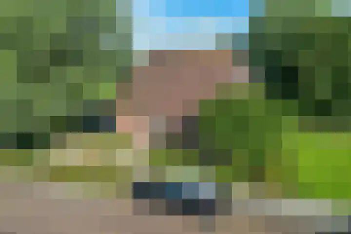 Bitgumerdyk 85 Marsum thumbnail 20