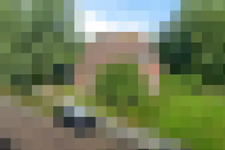 Bitgumerdyk 85 Marsum thumbnail 21