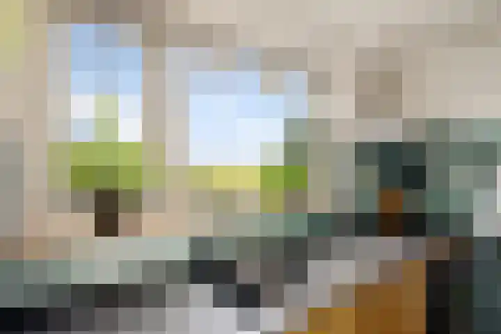 Bitgumerdyk 85 Marsum thumbnail 23