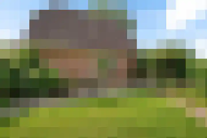Bitgumerdyk 85 Marsum thumbnail 36