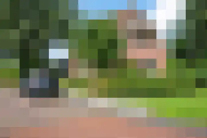 Bitgumerdyk 85 Marsum thumbnail 37