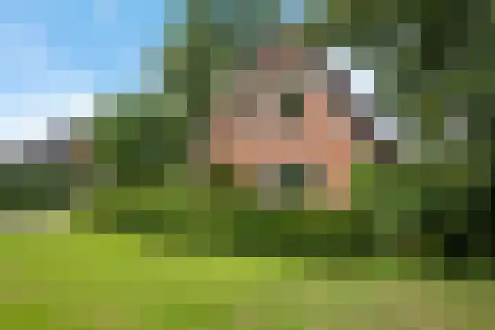 Bitgumerdyk 85 Marsum thumbnail 38