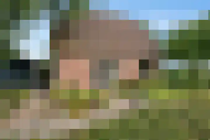 Bitgumerdyk 85 Marsum thumbnail 39