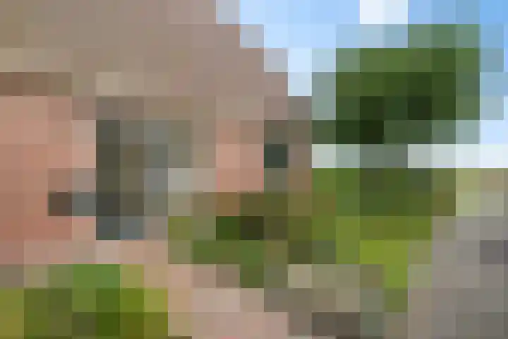 Bitgumerdyk 85 Marsum thumbnail 40
