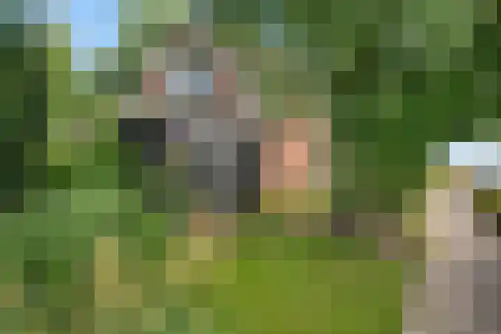 Bitgumerdyk 85 Marsum thumbnail 41