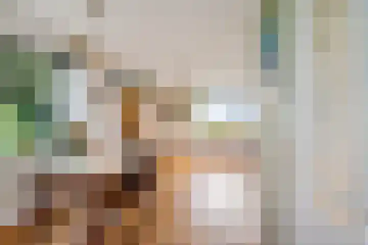 Bitgumerdyk 85 Marsum thumbnail 9
