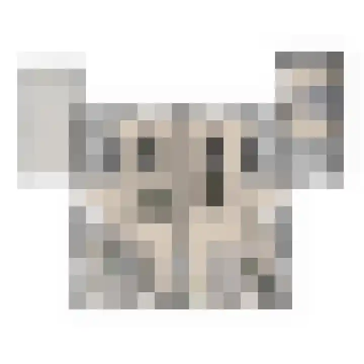 Bitgumerdyk 9 Berltsum thumbnail 10
