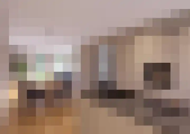 Bitgumerdyk 9 Berltsum foto 2