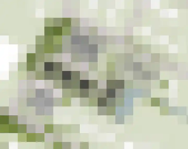 Bitgumerdyk 9 Berltsum thumbnail 4