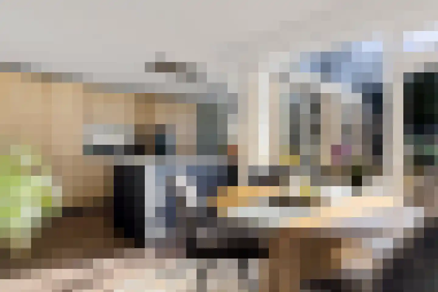 Bitse 23 Assen thumbnail 18