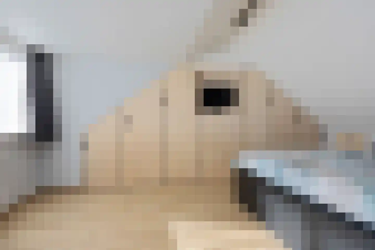 Bitse 23 Assen thumbnail 35