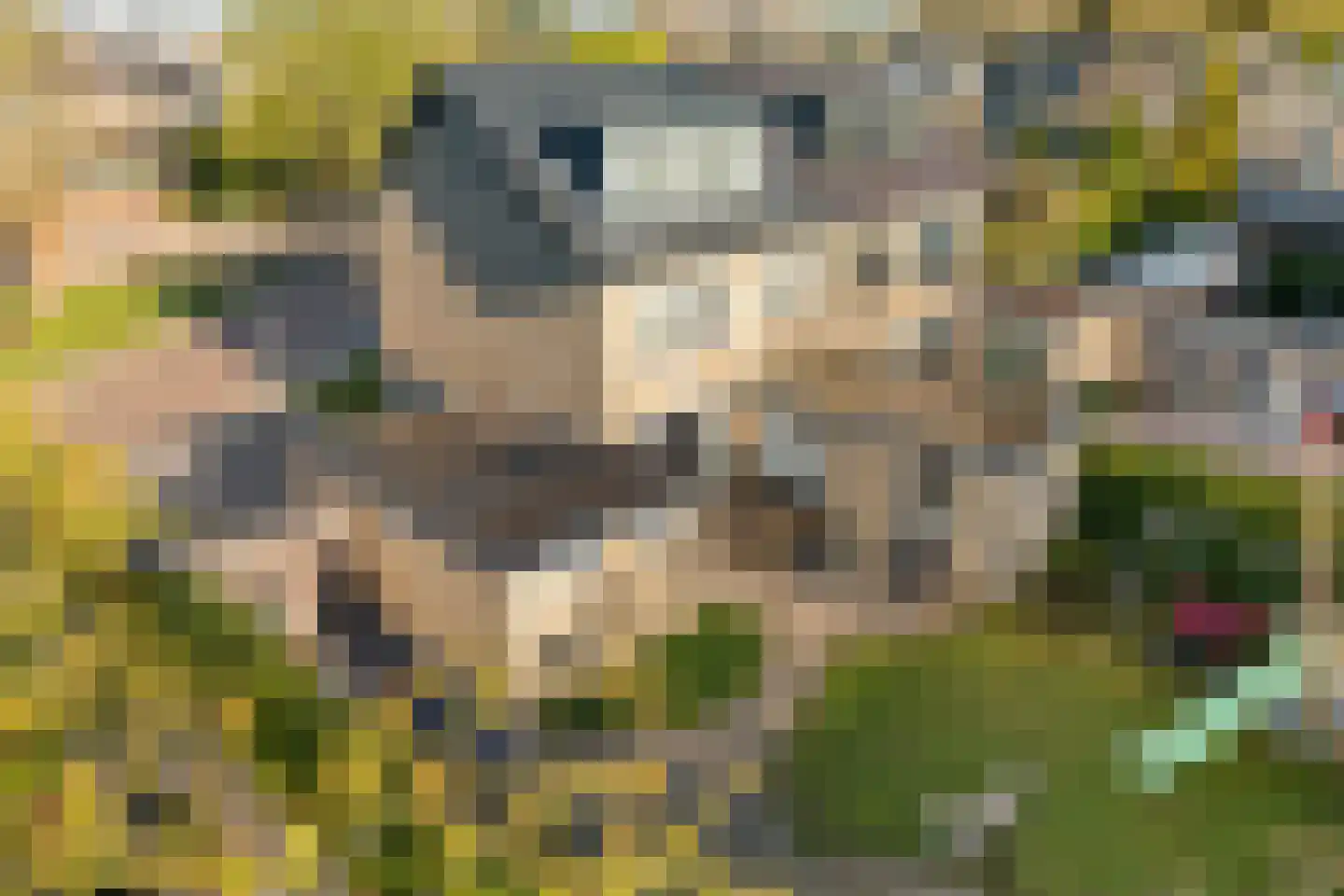 Bitse 23 Assen thumbnail 48
