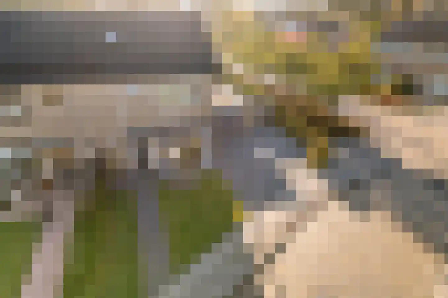 Bitse 23 Assen thumbnail 52