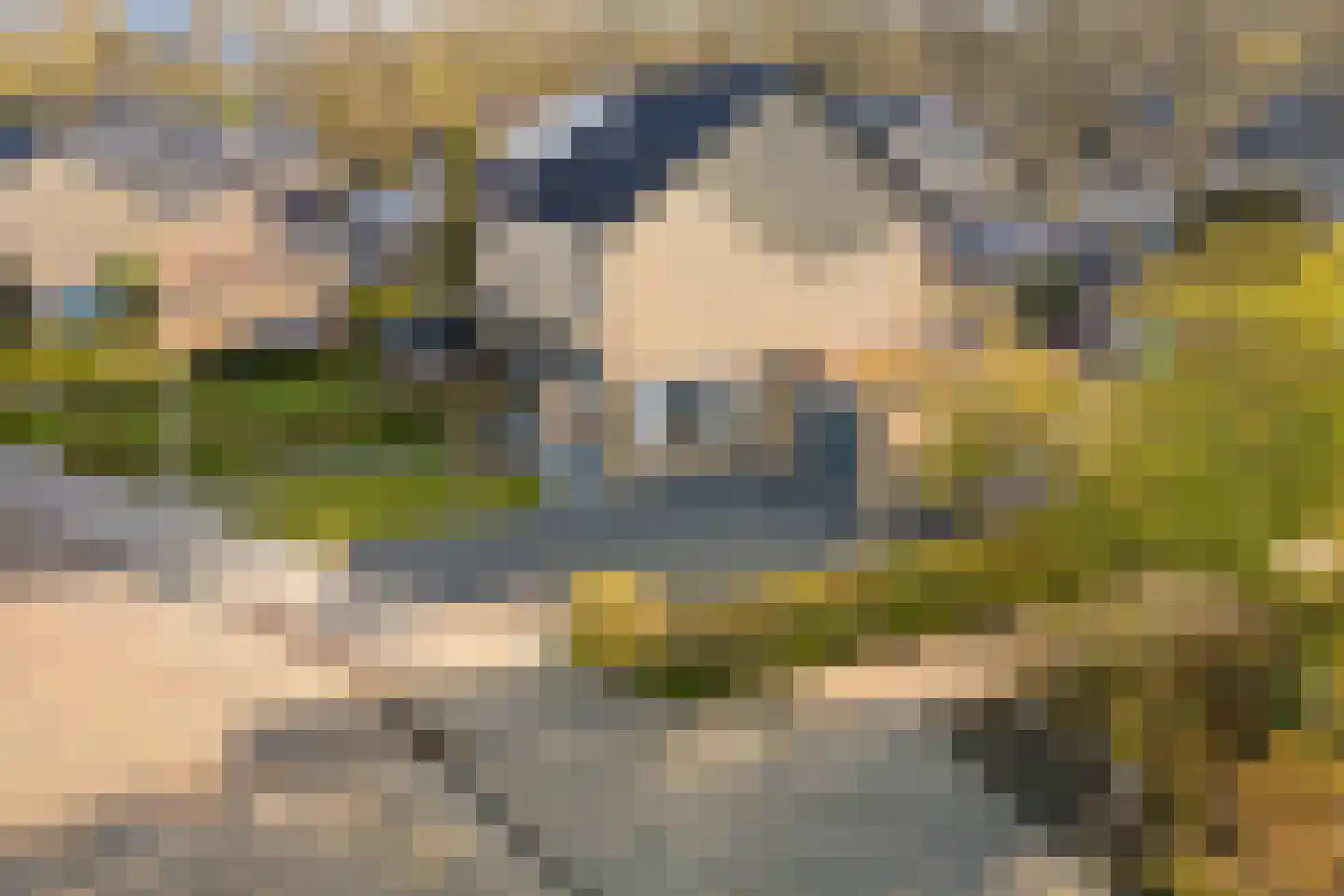Bitse 23 Assen thumbnail 8