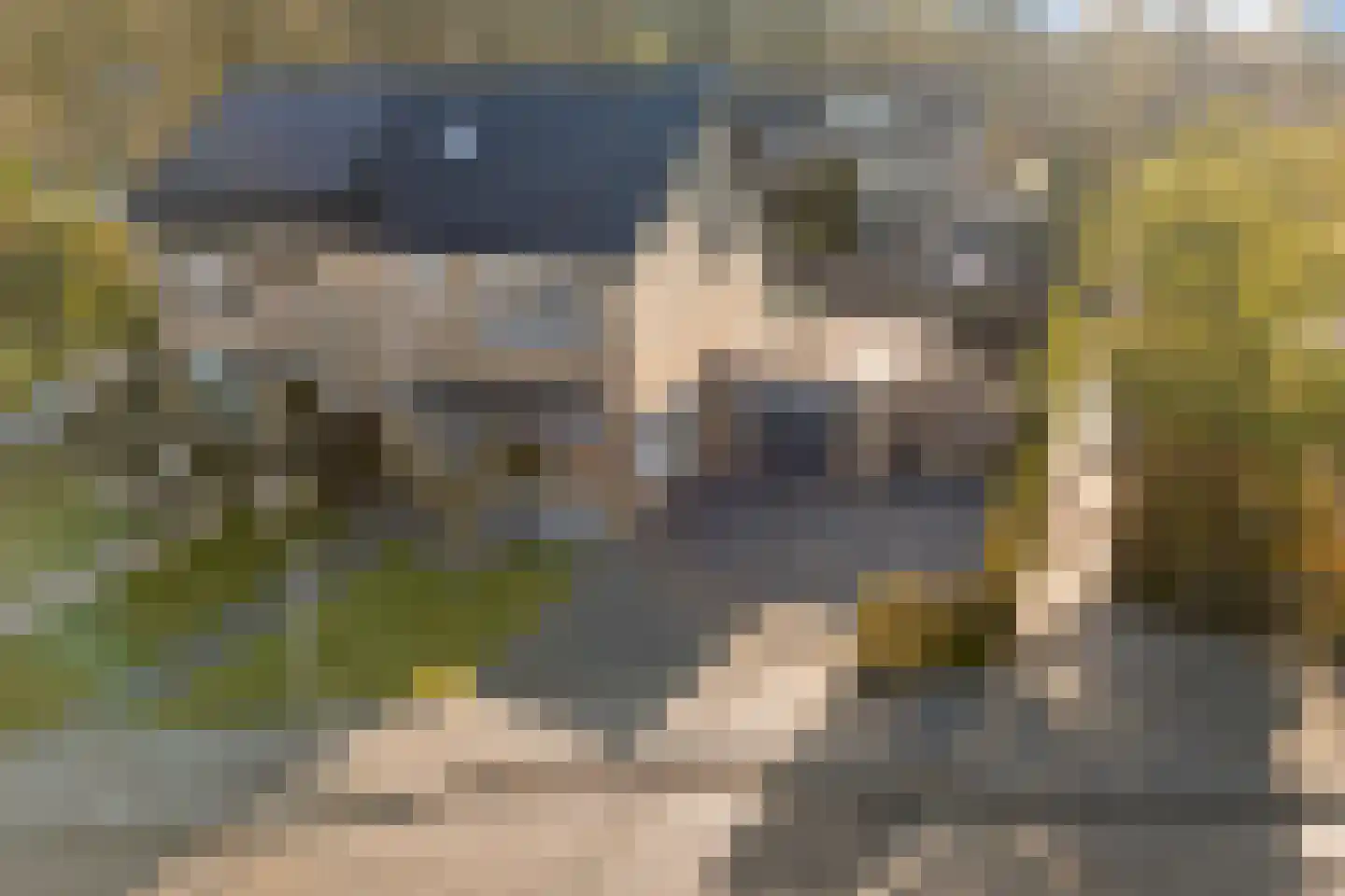 Bitse 23 Assen thumbnail 9
