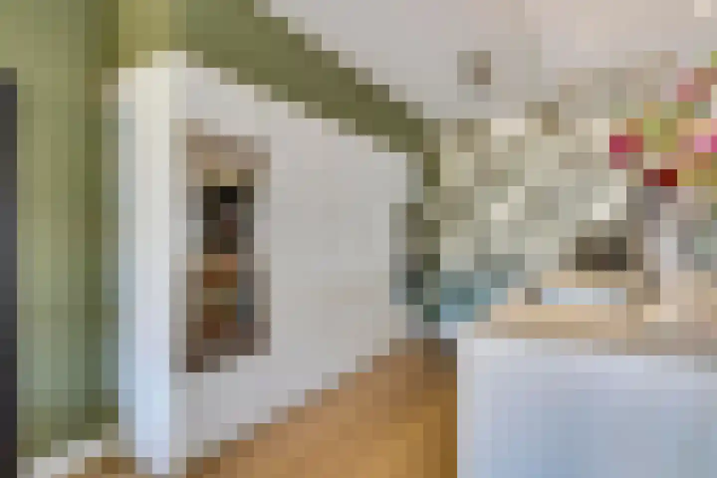 Bitswijk 19 Uden thumbnail 12
