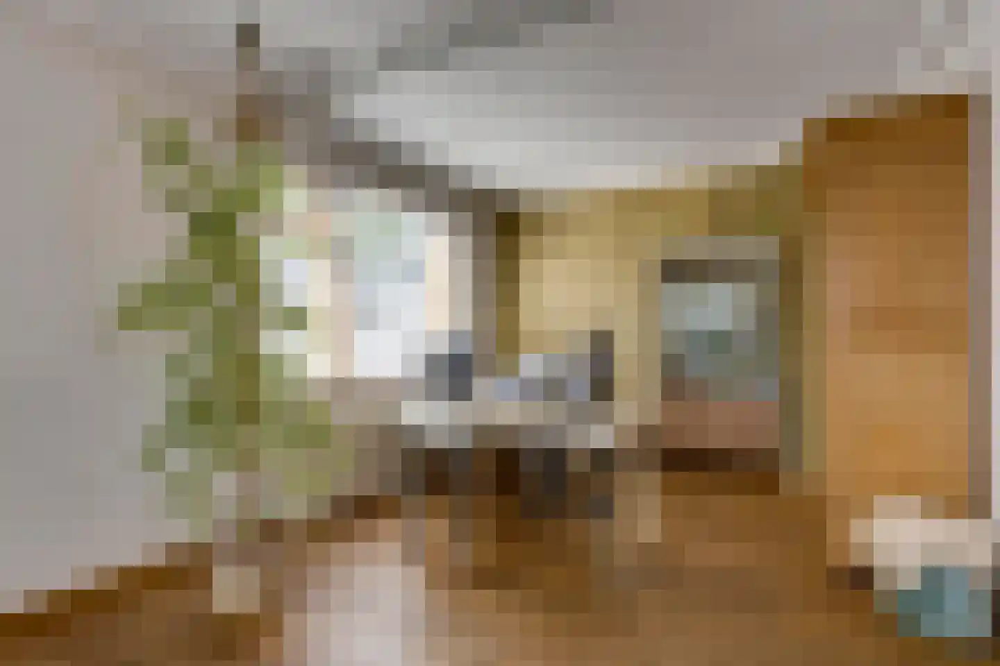 Bitswijk 19 Uden thumbnail 20