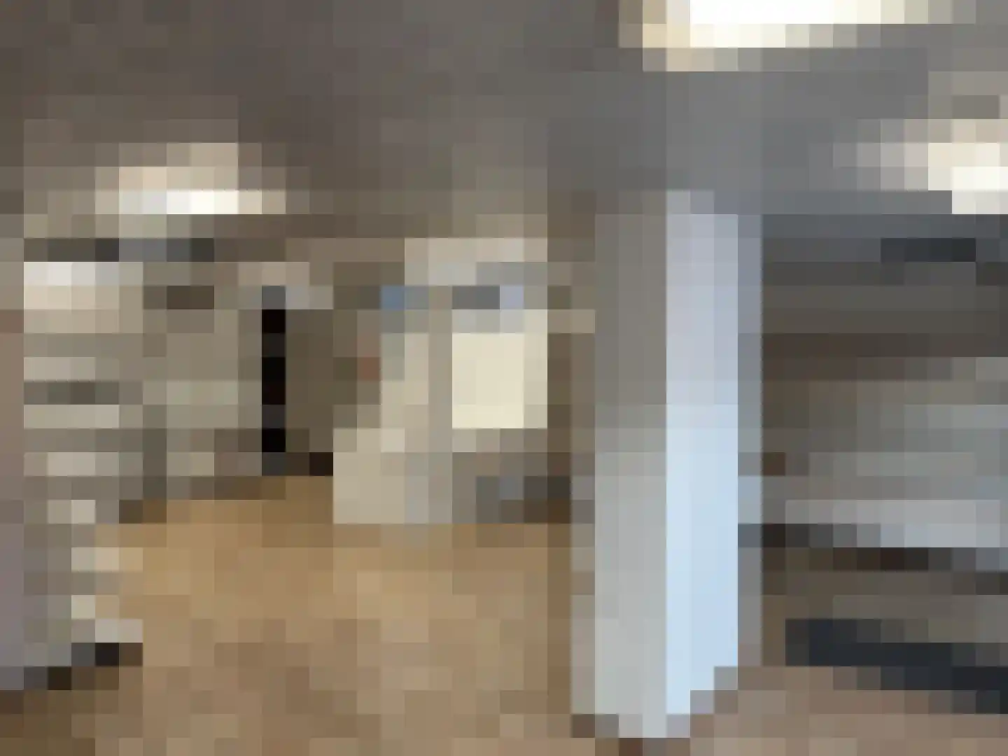 Bitswijk 19 Uden thumbnail 36