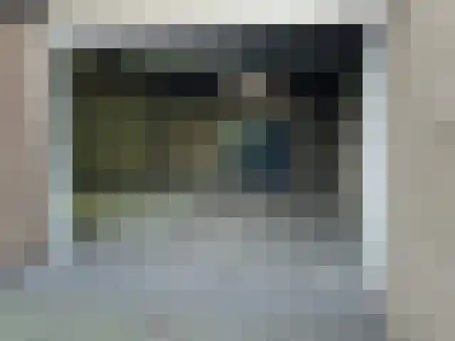 Bitswijk 19 Uden thumbnail 40
