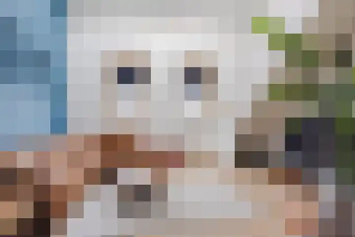 Bitswijk 22 K Uden thumbnail 19