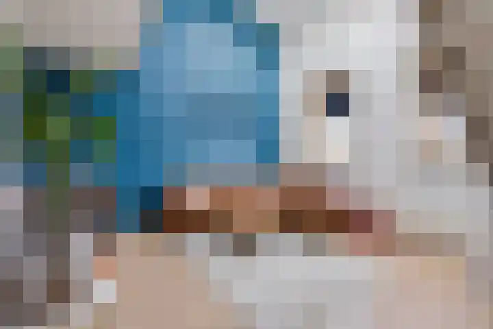Bitswijk 22 K Uden thumbnail 22