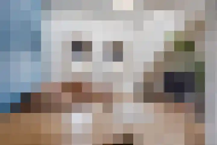 Bitswijk 22 K Uden thumbnail 25