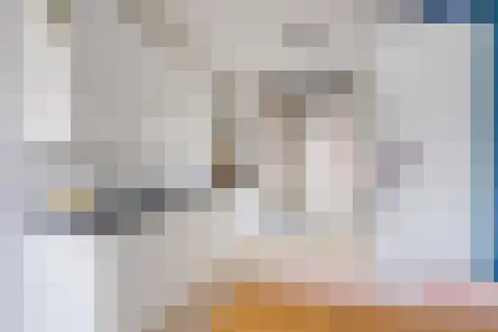 Bitswijk 22 K Uden thumbnail 26