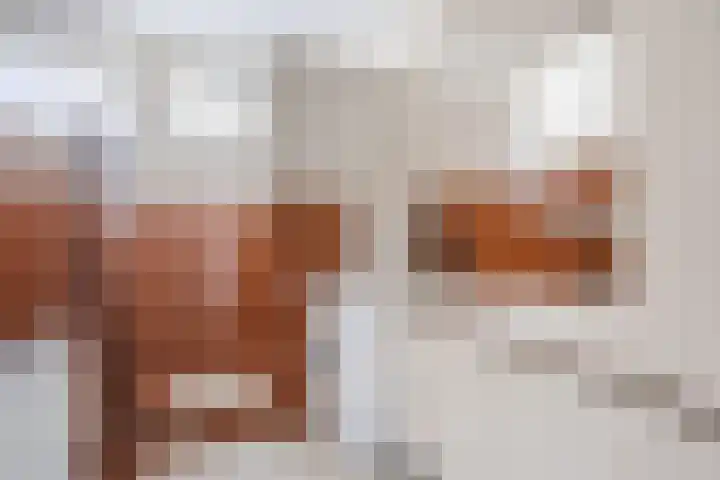 Bitswijk 22 K Uden thumbnail 33