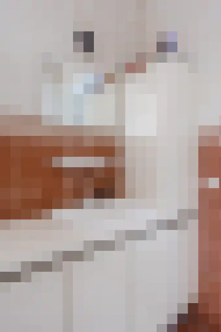 Bitswijk 22 K Uden thumbnail 34