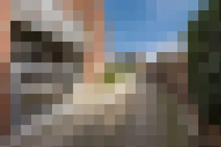 Bitswijk 22 K Uden thumbnail 6