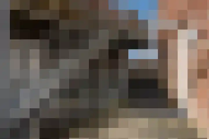 Bitswijk 22 K Uden thumbnail 9