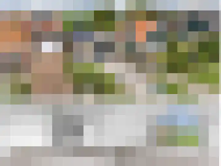 Bittenserpaed 18 Schettens