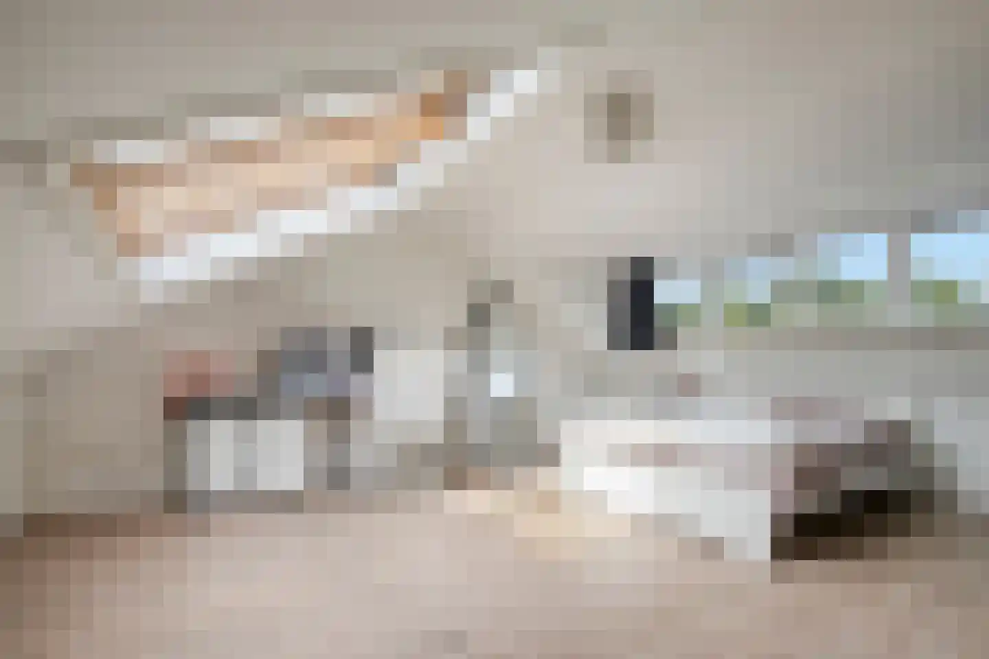 Bitterkruid 22 Amersfoort thumbnail 29