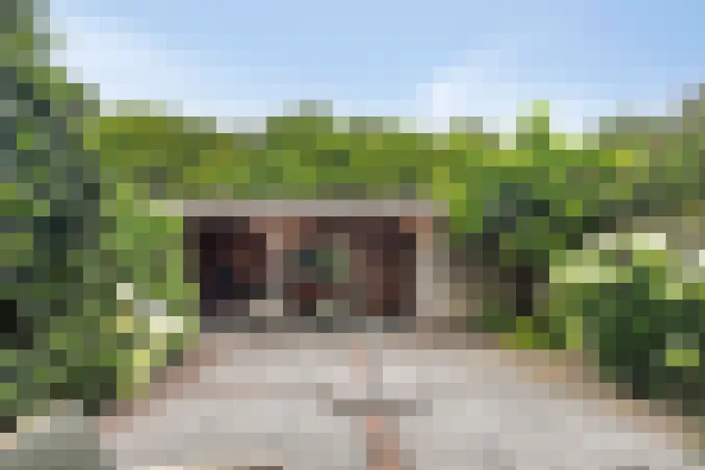 Bitterkruid 22 Amersfoort thumbnail 33