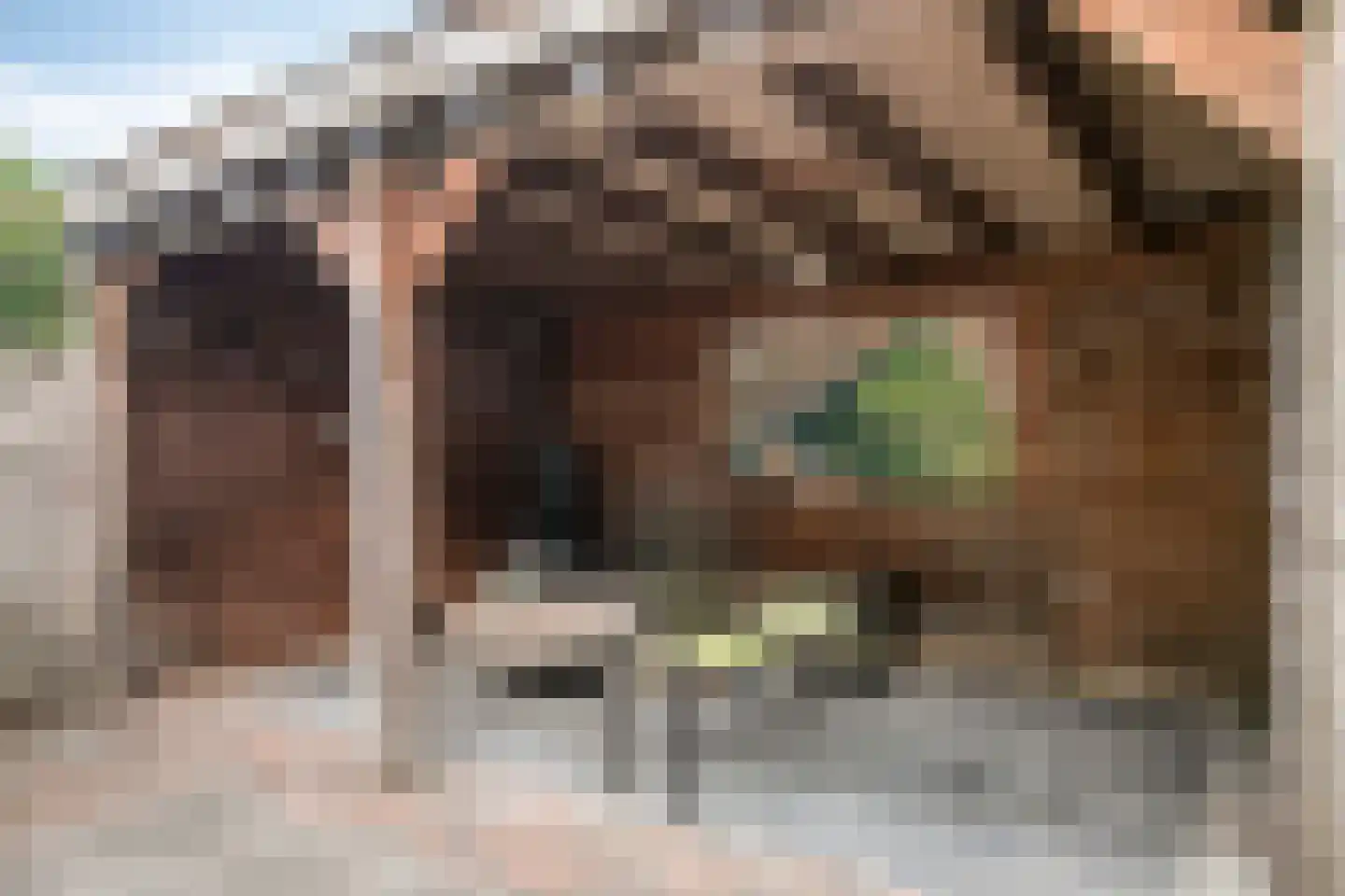 Bitterkruid 22 Amersfoort thumbnail 34