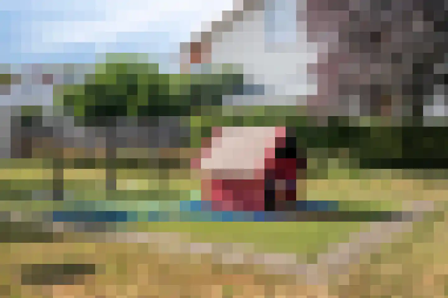 Bitterkruid 22 Amersfoort thumbnail 38