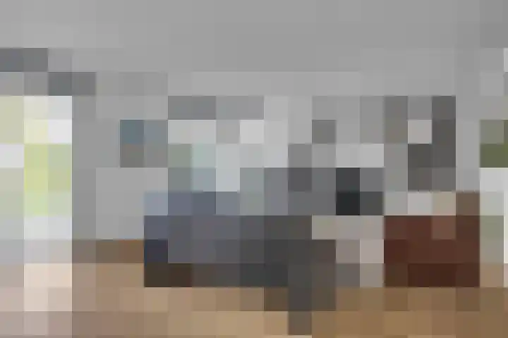 Bitterkruid 35 Amersfoort thumbnail 12