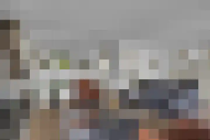 Bitterkruid 35 Amersfoort thumbnail 15