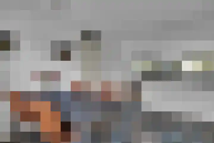 Bitterkruid 35 Amersfoort thumbnail 17