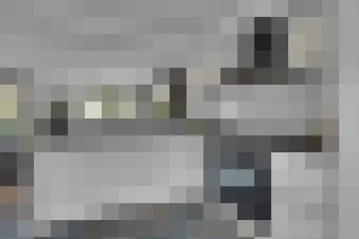 Bitterkruid 35 Amersfoort thumbnail 18