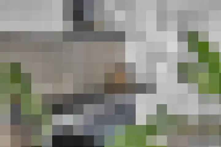 Bitterkruid 35 Amersfoort thumbnail 19