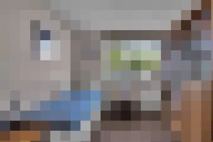 Bitterkruid 35 Amersfoort thumbnail 21