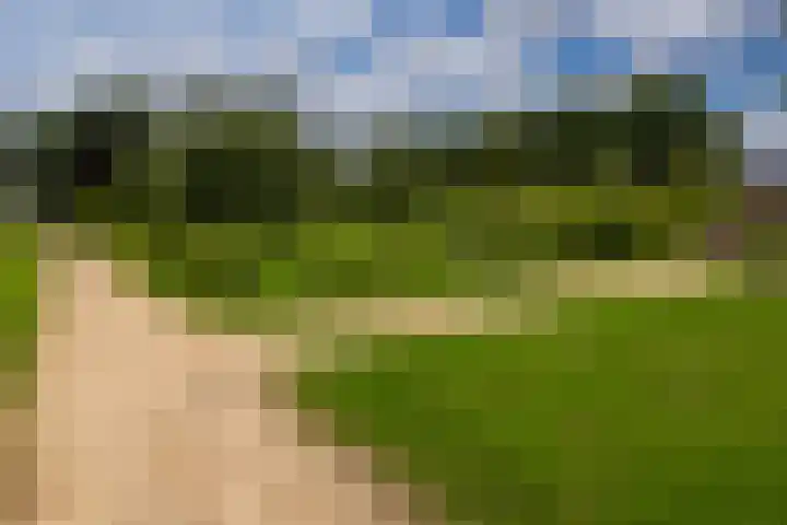 Bitterkruid 35 Amersfoort thumbnail 29