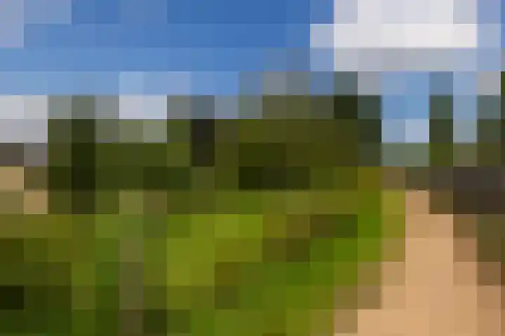Bitterkruid 35 Amersfoort thumbnail 30