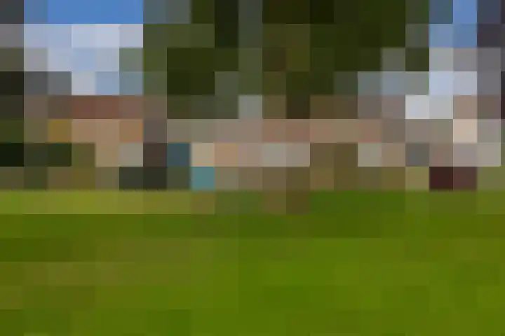 Bitterkruid 35 Amersfoort thumbnail 31
