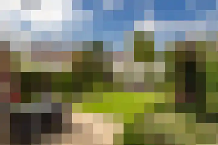 Bitterkruid 35 Amersfoort thumbnail 32