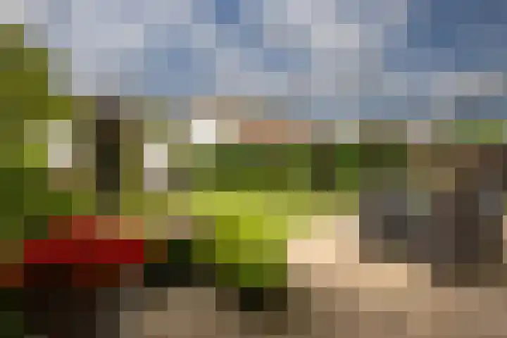 Bitterkruid 35 Amersfoort thumbnail 33