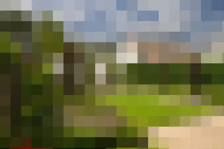 Bitterkruid 35 Amersfoort thumbnail 34