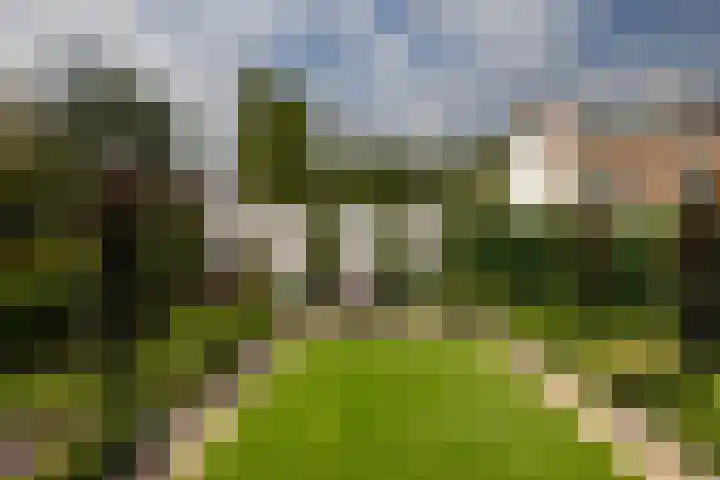 Bitterkruid 35 Amersfoort thumbnail 35